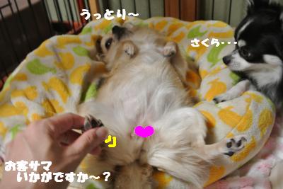 蟆城未+734_convert_20120820100826