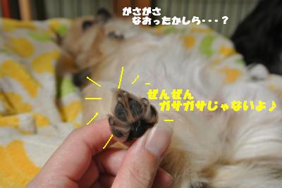 蟆城未+749_convert_20120820100847