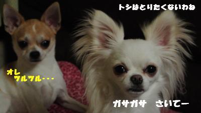 蟆城未+755_convert_20120820101051