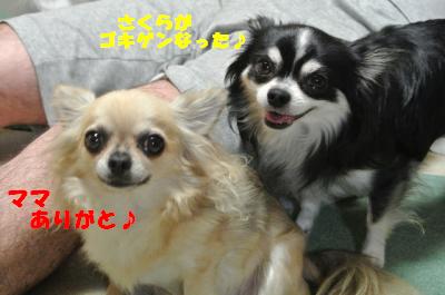 蟆城未+754_convert_20120820100944