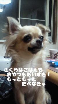 縺。繧上o+164_convert_20120820101215