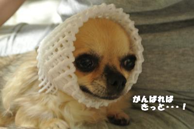 蟆城未+765_convert_20120821110702