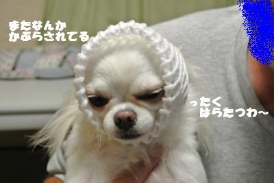 蟆城未+768_convert_20120821110803