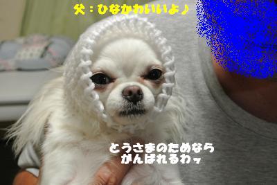 蟆城未+769_convert_20120821110825
