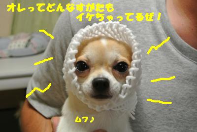 蟆城未+770_convert_20120821110848