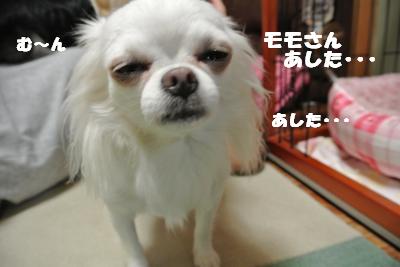蟆城未+774_convert_20120821111149