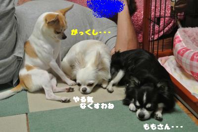 蟆城未+776_convert_20120821111128