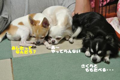 蟆城未+778_convert_20120821111100