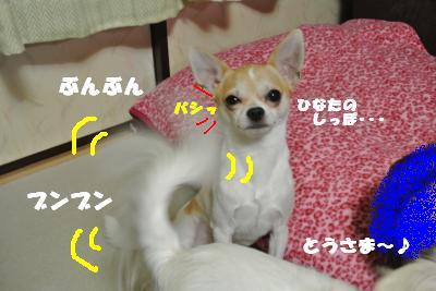 蟆城未+721_convert_20120821111240