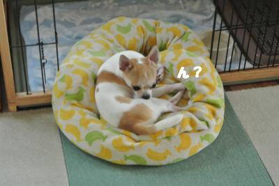 蟆城未+790_convert_20120822092819