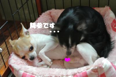 蟆城未+816_convert_20120822093204