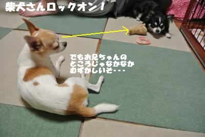 蟆城未+803_convert_20120822093052