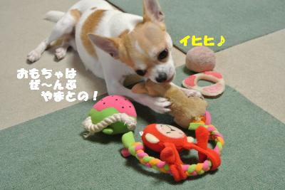 蟆城未+795_convert_20120822093308