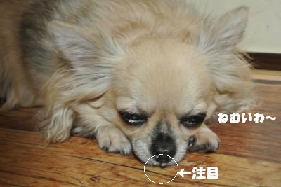蟆城未+810_convert_20120822093434
