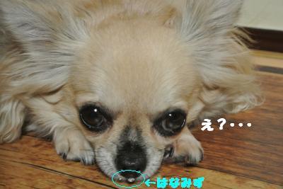 蟆城未+807_convert_20120822093502