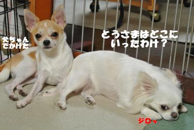 蟆城未+758_convert_20120822144902