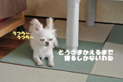 蟆城未+781_convert_20120822144927