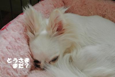 蟆城未+784_convert_20120822144954