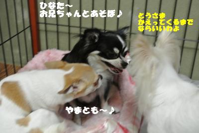 蟆城未+811_convert_20120822145047