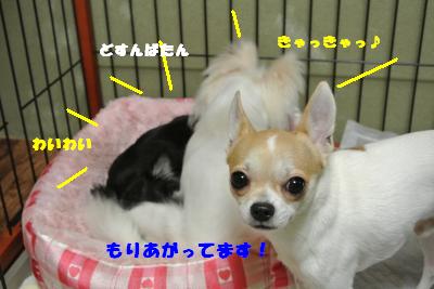 蟆城未+805_convert_20120822145112