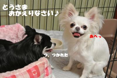 蟆城未+793_convert_20120822145213