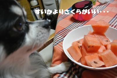 蟆城未+825_convert_20120823105256