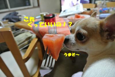 蟆城未+836_convert_20120823105431
