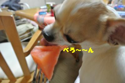 蟆城未+838_convert_20120823105630