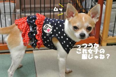 蟆城未+822_convert_20120824090928