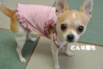 蟆城未+834_convert_20120824091332