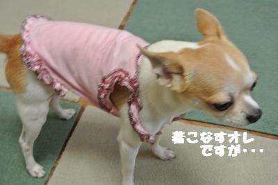蟆城未+835_convert_20120824091357