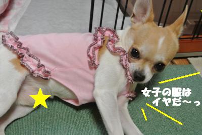 蟆城未+836_convert_20120824091423