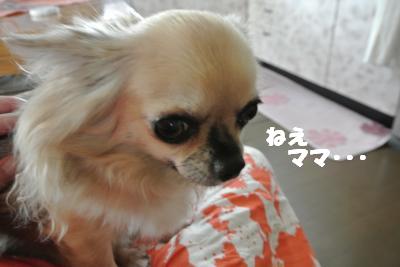 蟆城未+791_convert_20120824094300