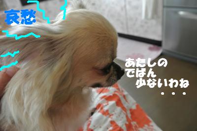 蟆城未+788_convert_20120824094412