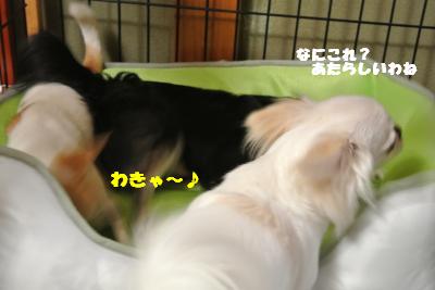 蟆城未+823_convert_20120823105709