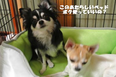 蟆城未+827_convert_20120823105827