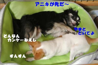蟆城未+822_convert_20120823105757