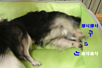 蟆城未+824_convert_20120823105734