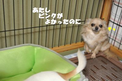 蟆城未+826_convert_20120823105916
