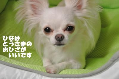 蟆城未+821_convert_20120824090637