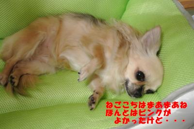 蟆城未+821_convert_20120823105939