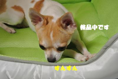 蟆城未+831_convert_20120823110014