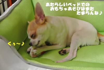 蟆城未+834_convert_20120823110052