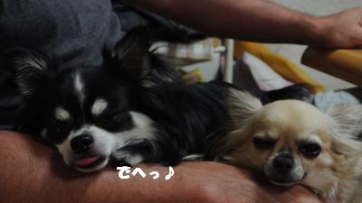 蟆城未+741_convert_20120824104210
