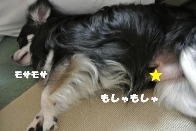 蟆城未+828_convert_20120827100957
