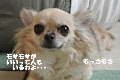 蟆城未+827_convert_20120827101022