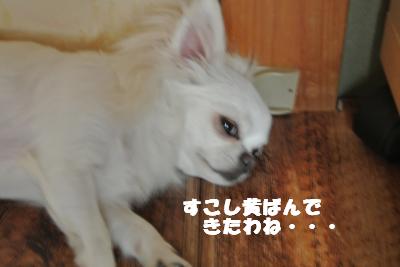 蟆城未+824_convert_20120827101057