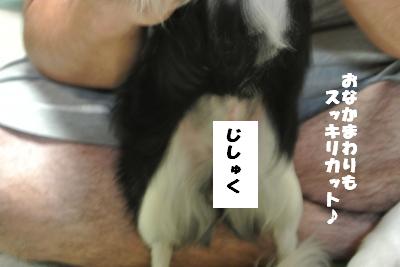 蟆城未+833_convert_20120827101408