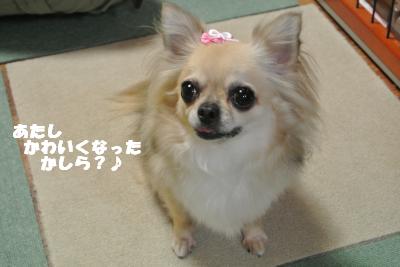 蟆城未+845_convert_20120827101246