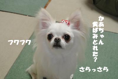 蟆城未+847_convert_20120827101307